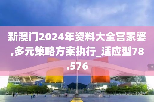 新澳门2024年资料大全宫家婆,多元策略方案执行_适应型78.576