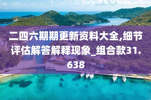 二四六期期更新资料大全,细节评估解答解释现象_组合款31.638
