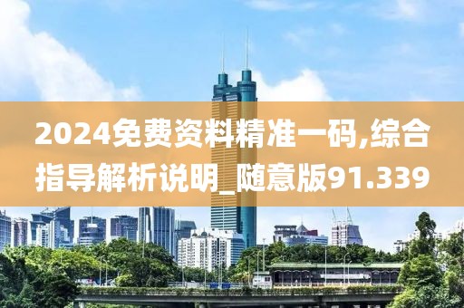 2024免费资料精准一码,综合指导解析说明_随意版91.339