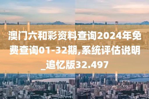 澳门六和彩资料查询2024年免费查询01-32期,系统评估说明_追忆版32.497