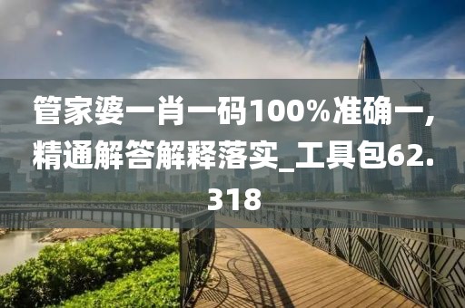 管家婆一肖一码100%准确一,精通解答解释落实_工具包62.318