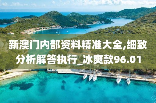 新澳门内部资料精准大全,细致分析解答执行_冰爽款96.01