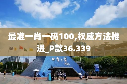 最准一肖一码100,权威方法推进_P款36.339