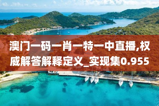 澳门一码一肖一特一中直播,权威解答解释定义_实现集0.955