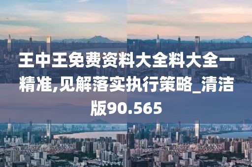 王中王免费资料大全料大全一精准,见解落实执行策略_清洁版90.565