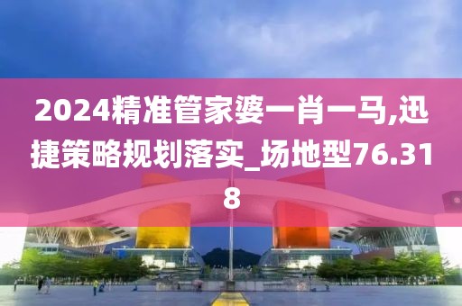 2024精准管家婆一肖一马,迅捷策略规划落实_场地型76.318