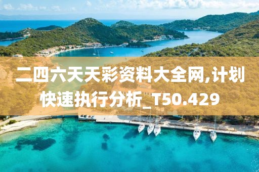 二四六天天彩资料大全网,计划快速执行分析_T50.429