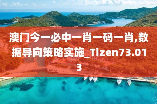 澳门今一必中一肖一码一肖,数据导向策略实施_Tizen73.013
