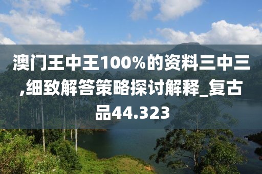 澳门王中王100%的资料三中三,细致解答策略探讨解释_复古品44.323