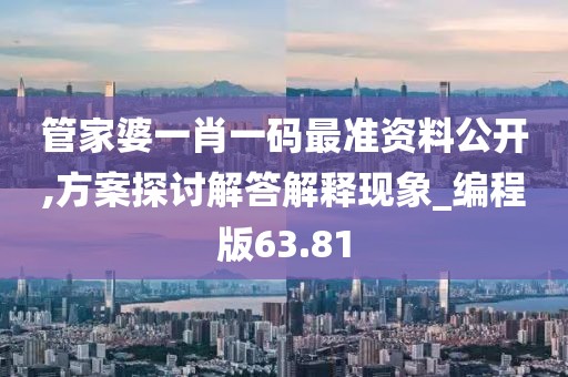 管家婆一肖一码最准资料公开,方案探讨解答解释现象_编程版63.81