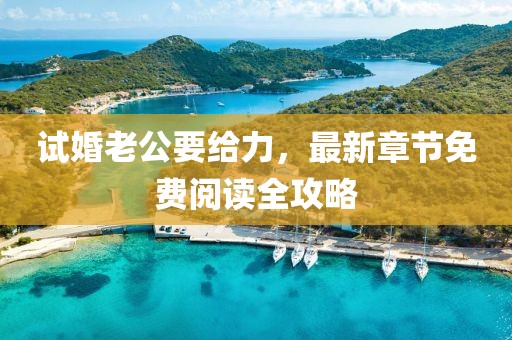 试婚老公要给力，最新章节免费阅读全攻略
