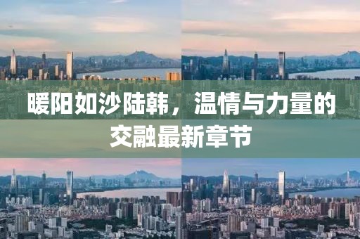 暖阳如沙陆韩，温情与力量的交融最新章节