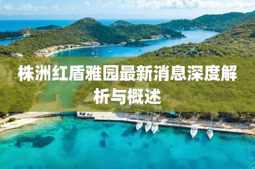 株洲红盾雅园最新消息深度解析与概述