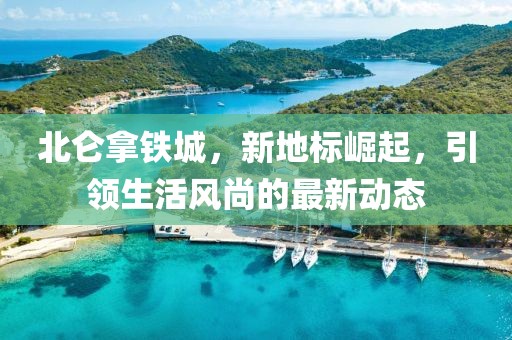 饲猫人 第46页
