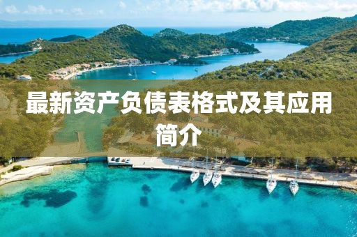 最新资产负债表格式及其应用简介