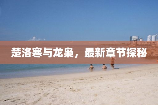 忆往昔 第43页