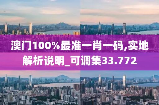 澳门100%最准一肖一码,实地解析说明_可调集33.772
