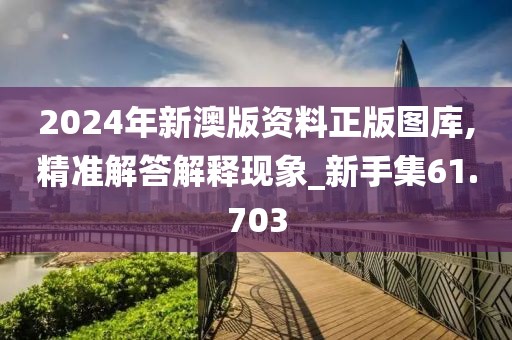 2024年新澳版资料正版图库,精准解答解释现象_新手集61.703
