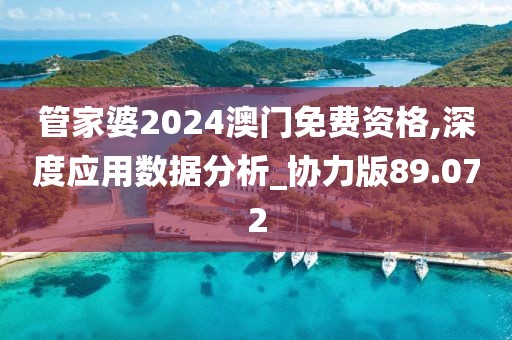 管家婆2024澳门免费资格,深度应用数据分析_协力版89.072