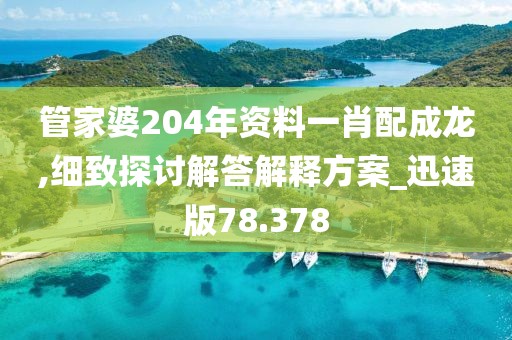 管家婆204年资料一肖配成龙,细致探讨解答解释方案_迅速版78.378