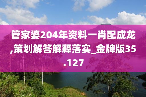 管家婆204年资料一肖配成龙,策划解答解释落实_金牌版35.127