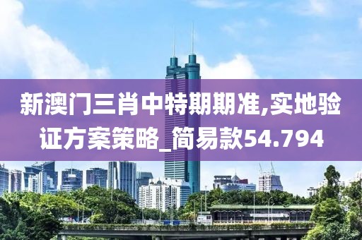 新澳门三肖中特期期准,实地验证方案策略_简易款54.794