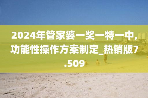 2024年管家婆一奖一特一中,功能性操作方案制定_热销版7.509