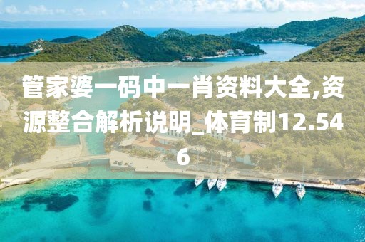 管家婆一码中一肖资料大全,资源整合解析说明_体育制12.546