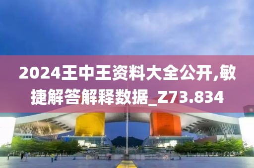 2024王中王资料大全公开,敏捷解答解释数据_Z73.834