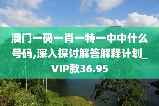 澳门一码一肖一特一中中什么号码,深入探讨解答解释计划_VIP款36.95