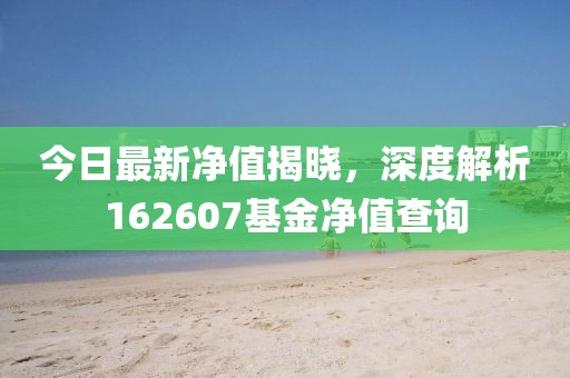 今日最新净值揭晓，深度解析162607基金净值查询
