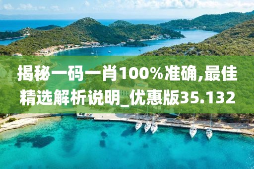 揭秘一码一肖100%准确,最佳精选解析说明_优惠版35.132