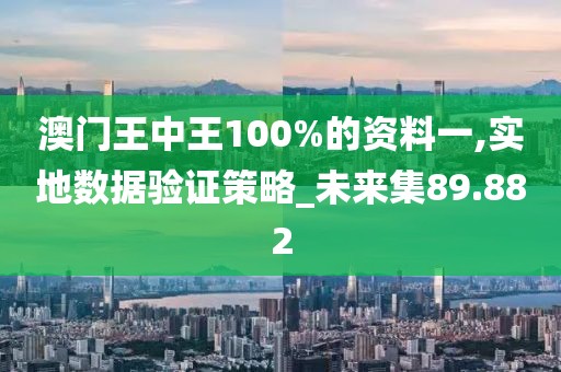 澳门王中王100%的资料一,实地数据验证策略_未来集89.882
