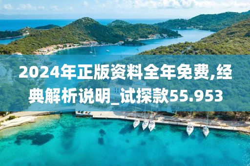 2024年正版资料全年免费,经典解析说明_试探款55.953