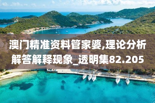 澳门精准资料管家婆,理论分析解答解释现象_透明集82.205