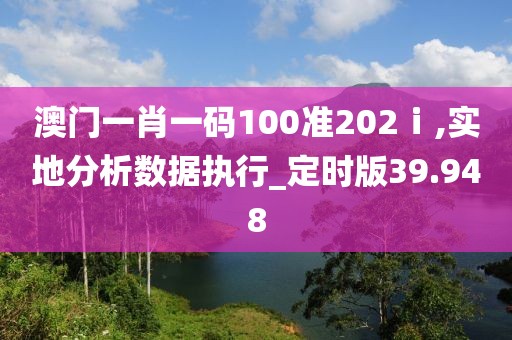澳门一肖一码100准202ⅰ,实地分析数据执行_定时版39.948
