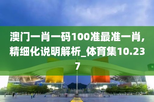 澳门一肖一码100准最准一肖,精细化说明解析_体育集10.237