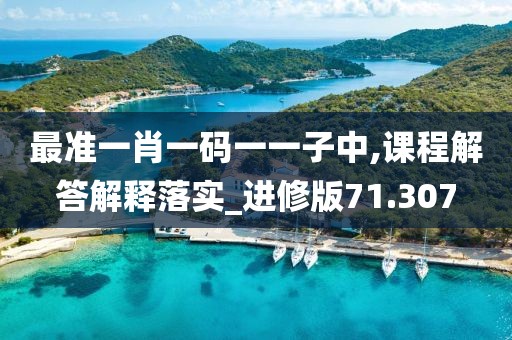 最准一肖一码一一子中,课程解答解释落实_进修版71.307