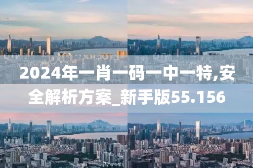 2024年一肖一码一中一特,安全解析方案_新手版55.156