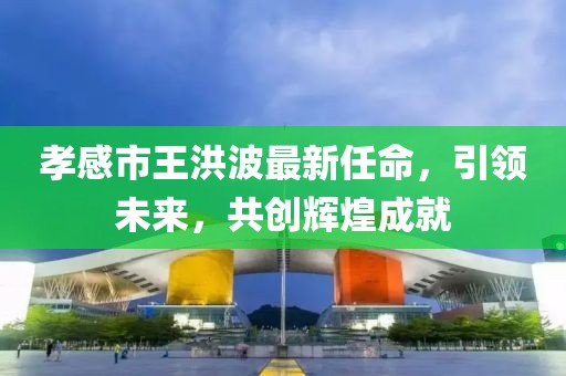 孝感市王洪波最新任命，引领未来，共创辉煌成就