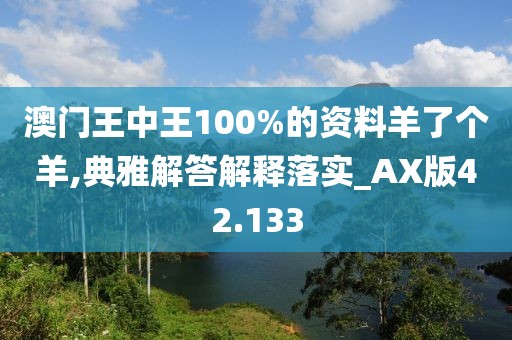 澳门王中王100%的资料羊了个羊,典雅解答解释落实_AX版42.133