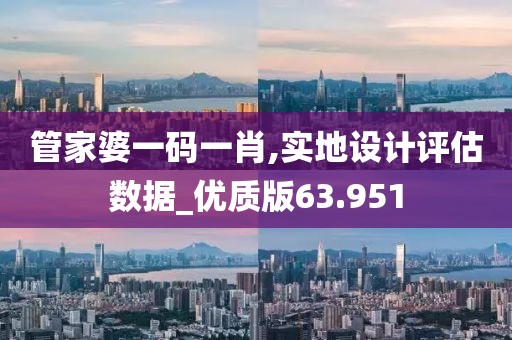 管家婆一码一肖,实地设计评估数据_优质版63.951