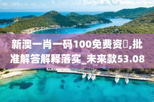 新澳一肖一码100免费资枓,批准解答解释落实_未来款53.08