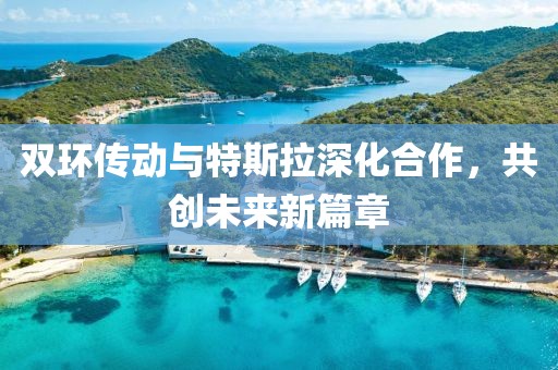 双环传动与特斯拉深化合作，共创未来新篇章