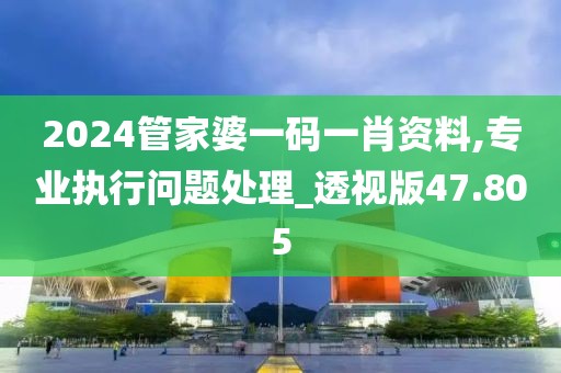 2024管家婆一码一肖资料,专业执行问题处理_透视版47.805