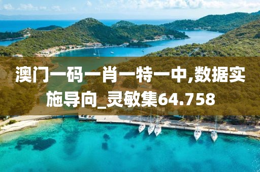 澳门一码一肖一特一中,数据实施导向_灵敏集64.758