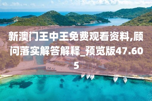 新澳门王中王免费观看资料,顾问落实解答解释_预览版47.605