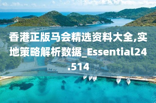 香港正版马会精选资料大全,实地策略解析数据_Essential24.514