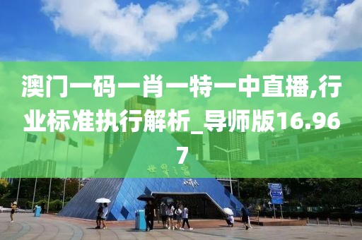 澳门一码一肖一特一中直播,行业标准执行解析_导师版16.967
