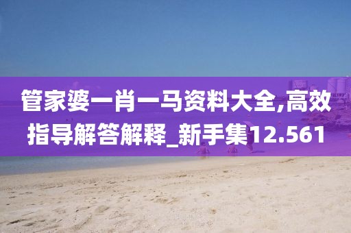 管家婆一肖一马资料大全,高效指导解答解释_新手集12.561